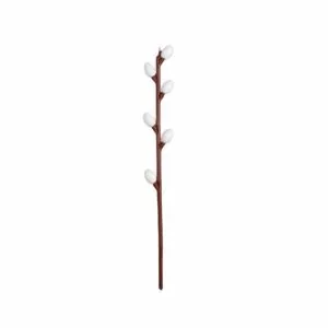 Bazia średnia z listkami 18 cm