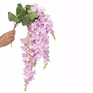Wisteria różowa 1 gałązka