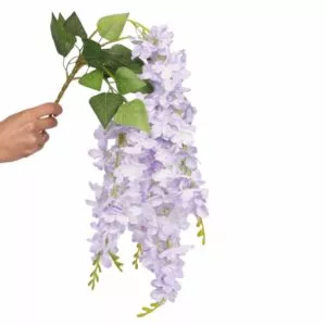 Wisteria fioletowa 1 gałązka