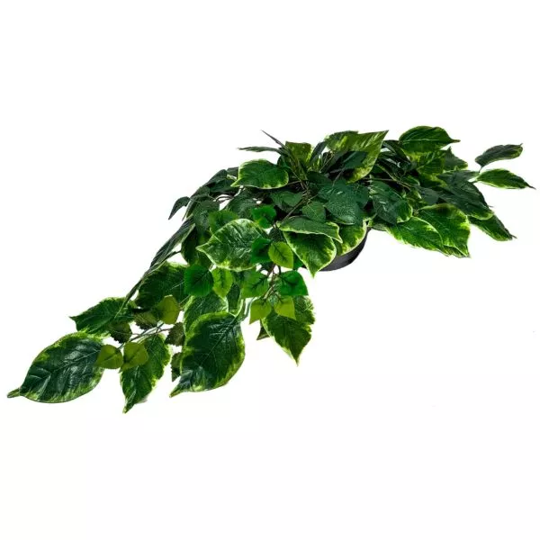 DUŻE WIĄZANKI NA CMENTARZ - ROLO 140 CM - obrazek 3