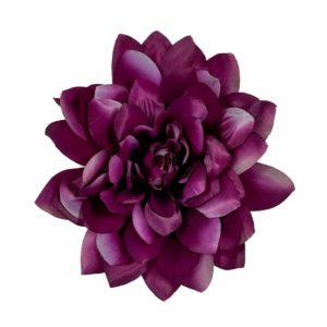 Dalia - fioletowa