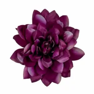 Dalia - fioletowa