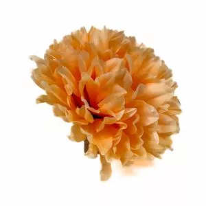 Chryzantema - pomarańczowa