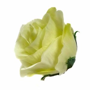Róża w pąku średnia - zielonkawa