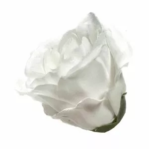 Róża w pąku średnia - biała