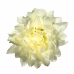 Dalia - kremowa