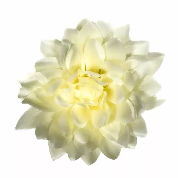 Dalia - kremowa