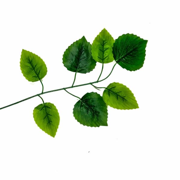 Osika