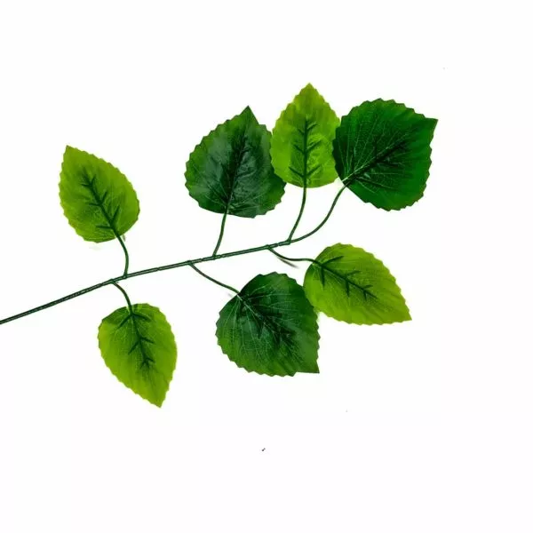 Osika