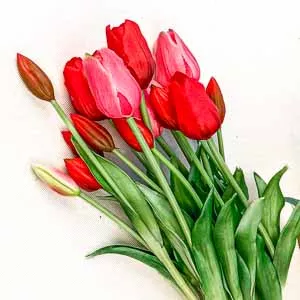 Sztuczne tulipany